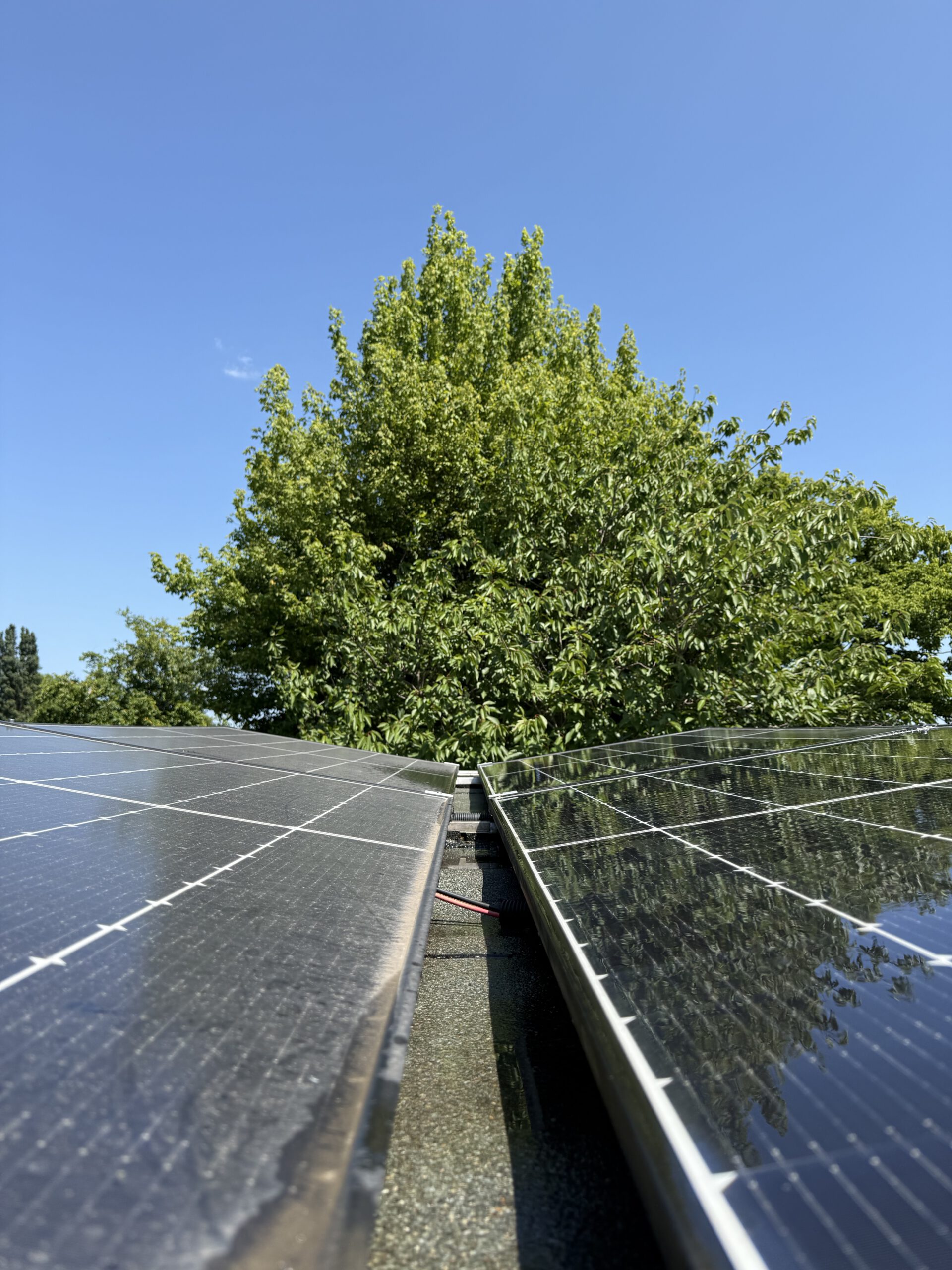 PV Anlagen reinigen Krefeld